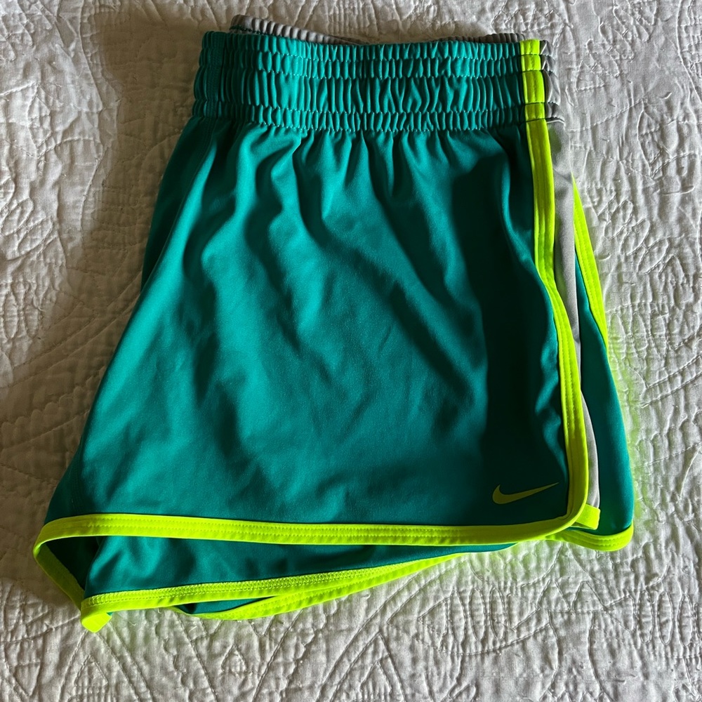 Nike Dri-Fit Shorts Large
